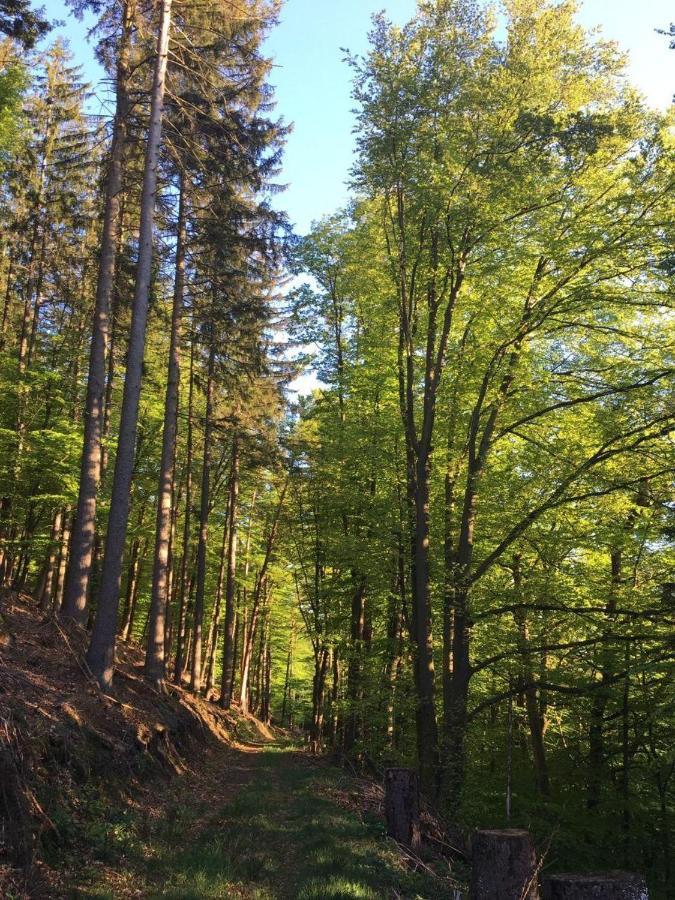 Отель Waldnest Odenwald Экстерьер фото