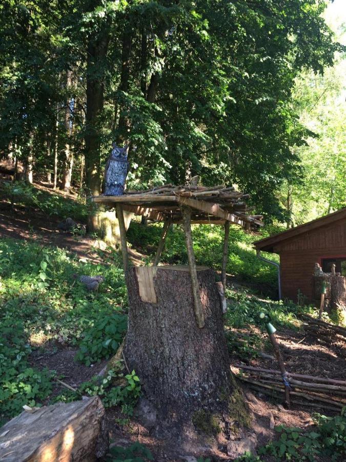 Отель Waldnest Odenwald Экстерьер фото