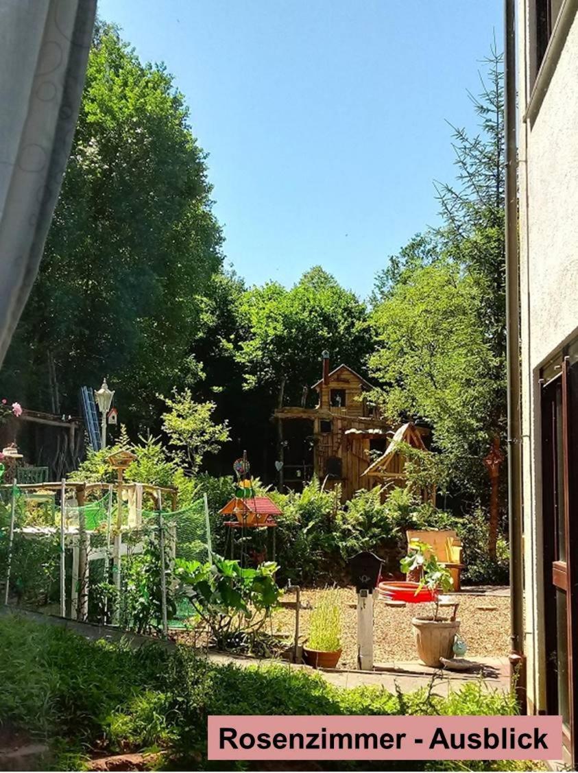 Отель Waldnest Odenwald Экстерьер фото